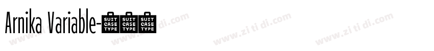 Arnika Variable字体转换